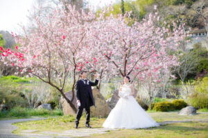 SAKURAフォトロケーション